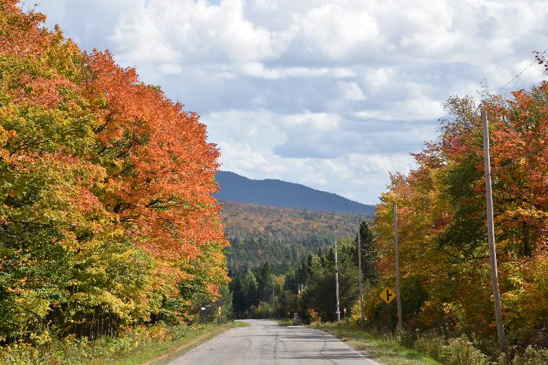 La route du village en automne