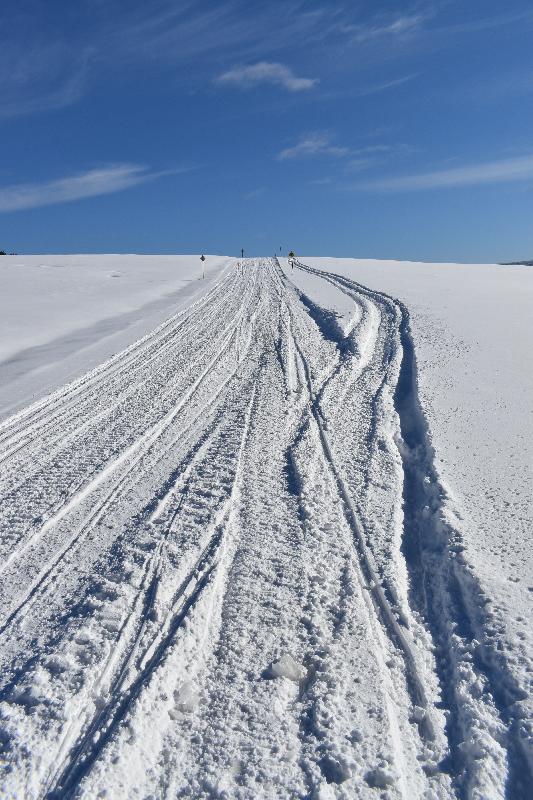 Des traces de motoneiges dans un champ