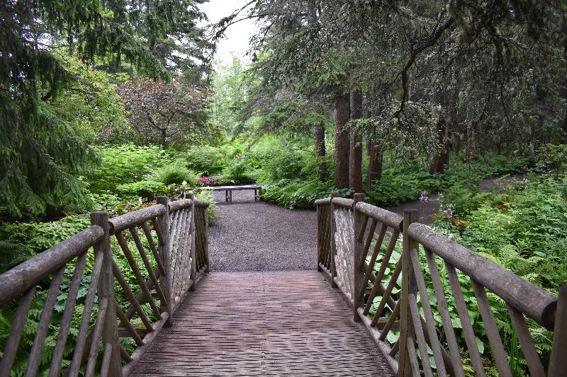 Un sentier du jardin en été