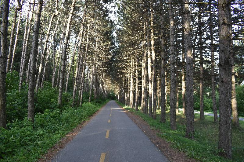 La piste cyclable en été