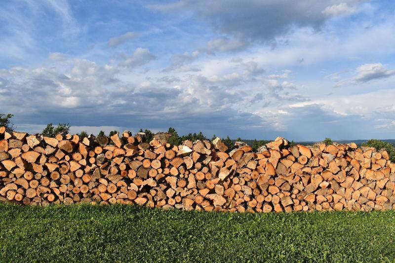 Une corde de bois dans un champ