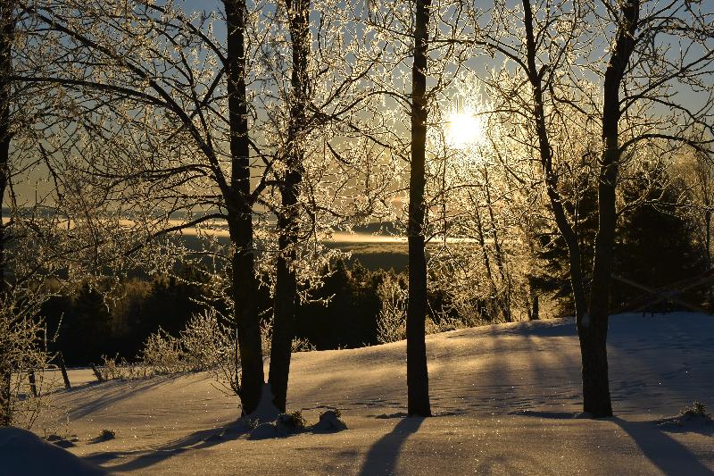 Un lever de soleil  un matin d'hiver