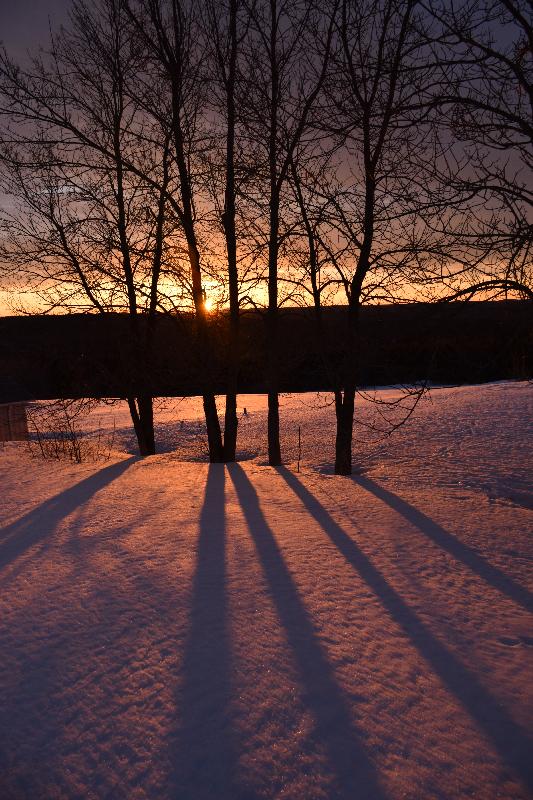 Un lever de soleil un matin froid