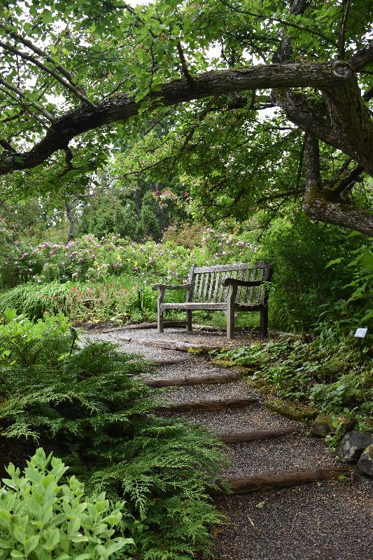 Un banc sous les arbres au jardin