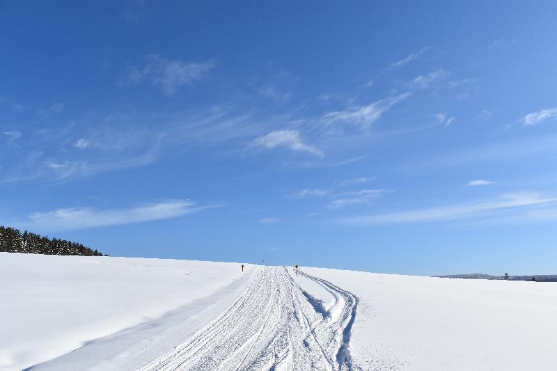 Une piste de motoneige dans un champ