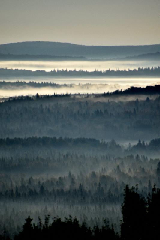 Un brouillard un matin d'automne dans les Appalaches