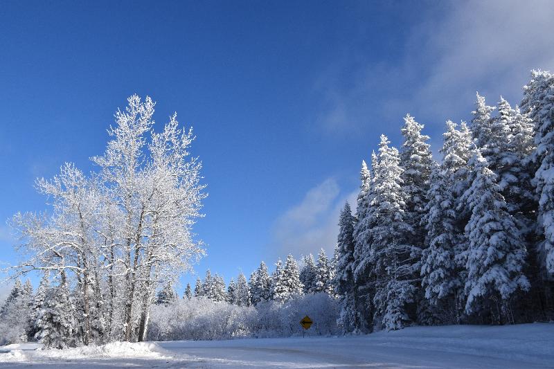 Le rang du  nord en hiver