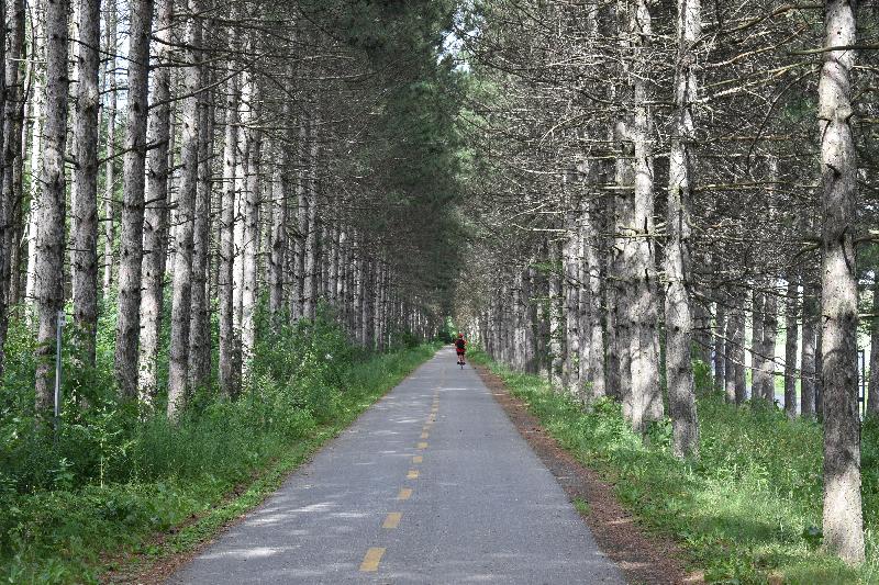 La piste cyclable en été