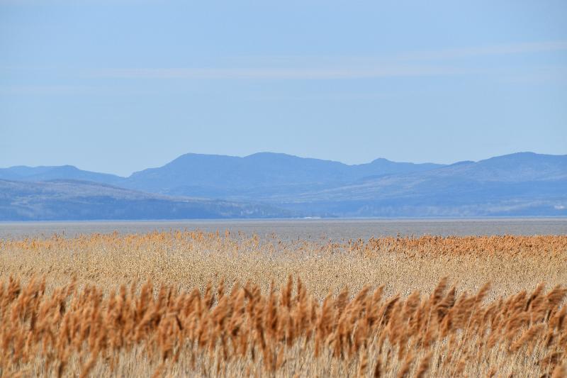 Des champs en bordure du fleuve