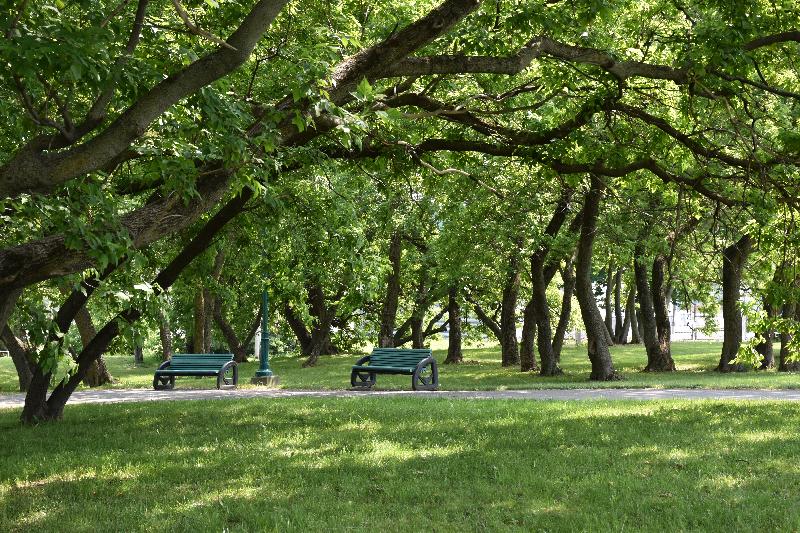 Un banc sous les arbres au parc