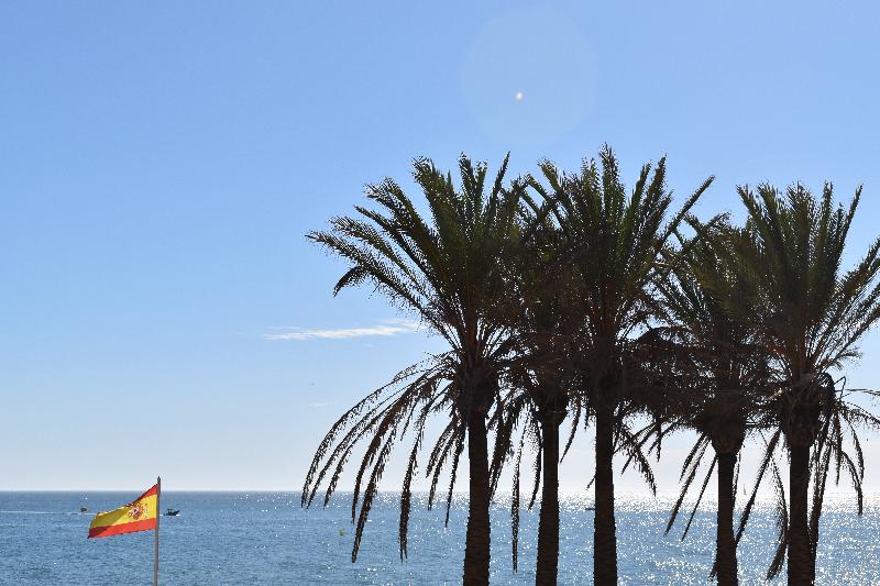 Des palmiers en bordure de la mer