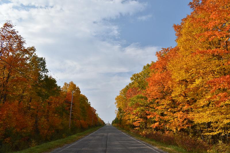 La route du village en automne