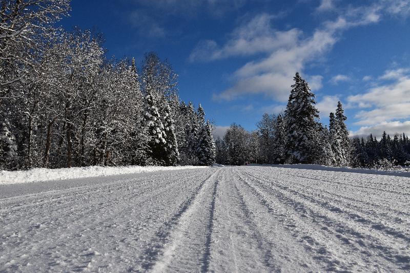 Un route de campagne en hiver