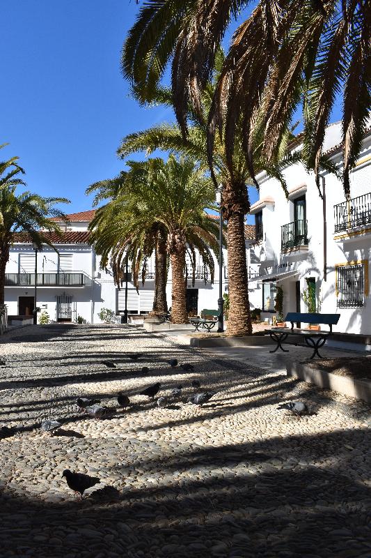 La place du village un jour d'été