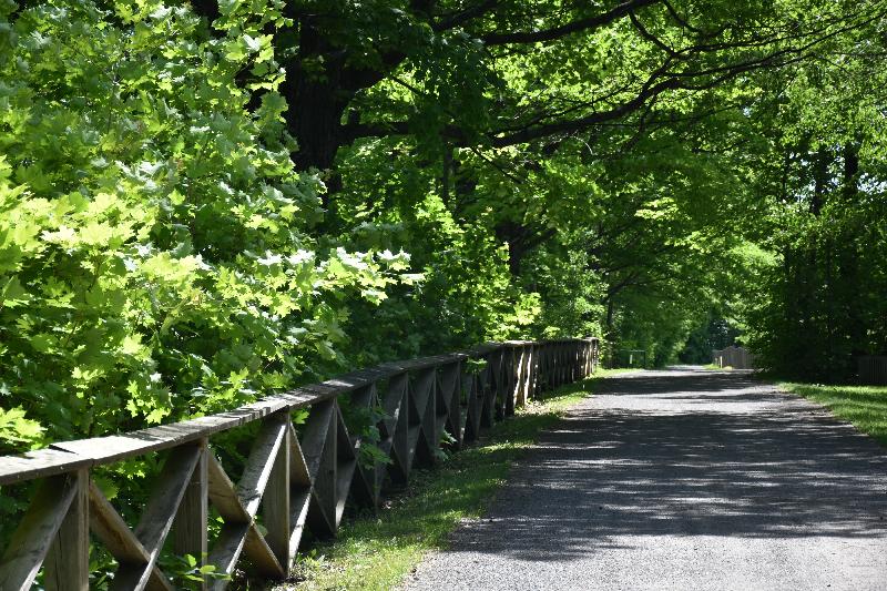 Un sentier du jardin sous les arbres