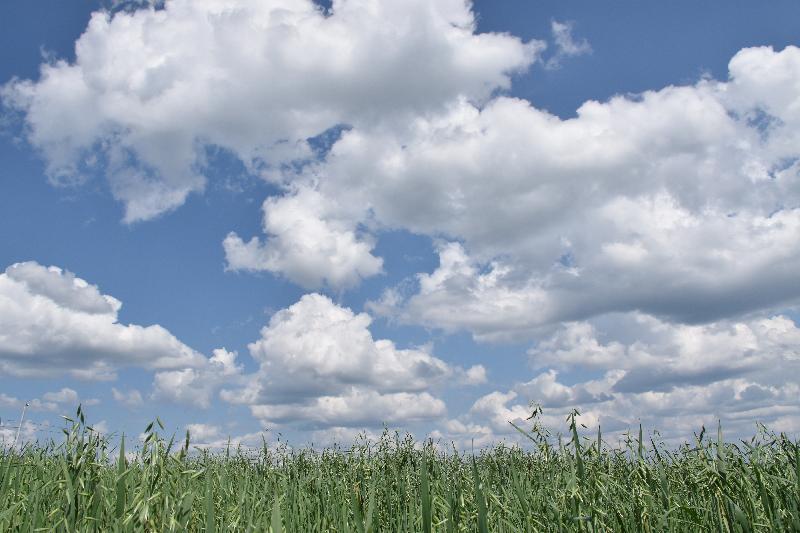 Des nuages dans un ciel d'été