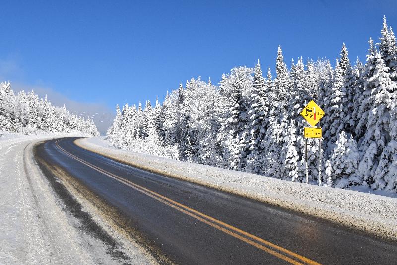 Une route de campagne en hiver