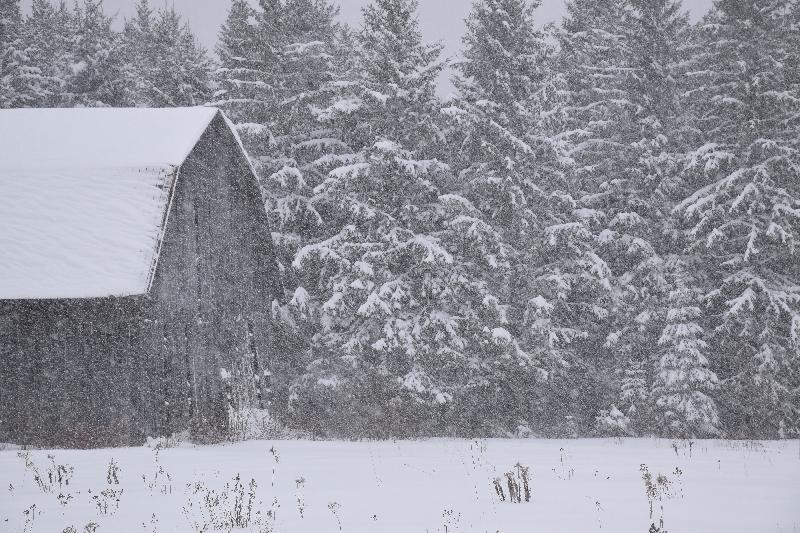 Une ferme pendant la tempête