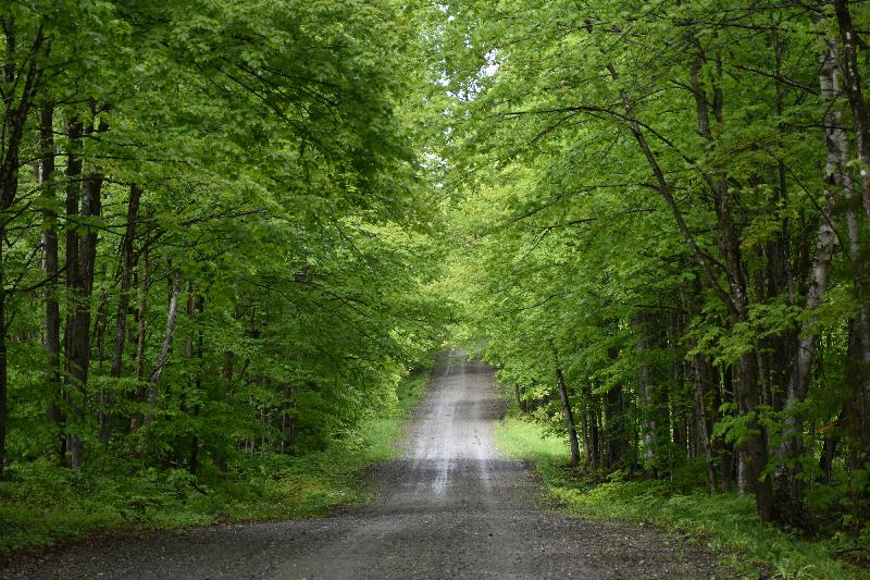 Une route déserte en été