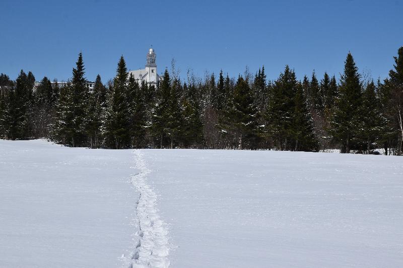 Des traces de raquettes dans un champ