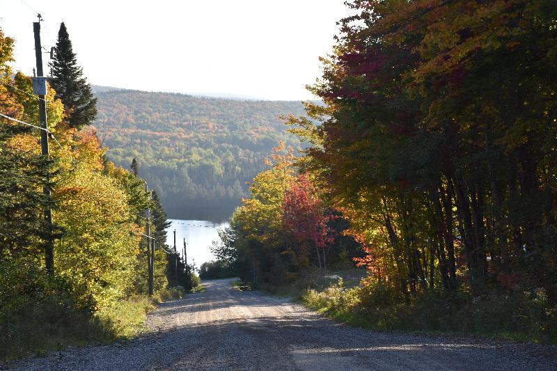 La route du lac en automne