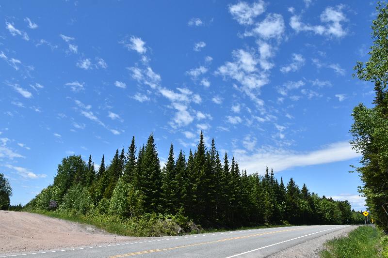 Des routes de campagne en été