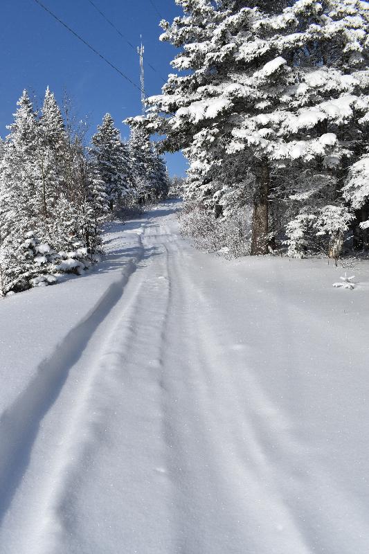 Un sentier en hiver