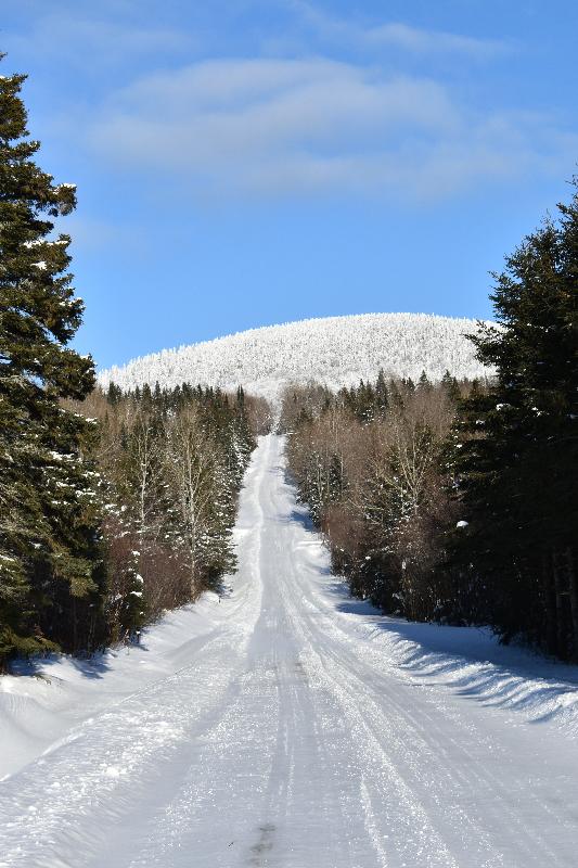 Une route de campagne en hiver