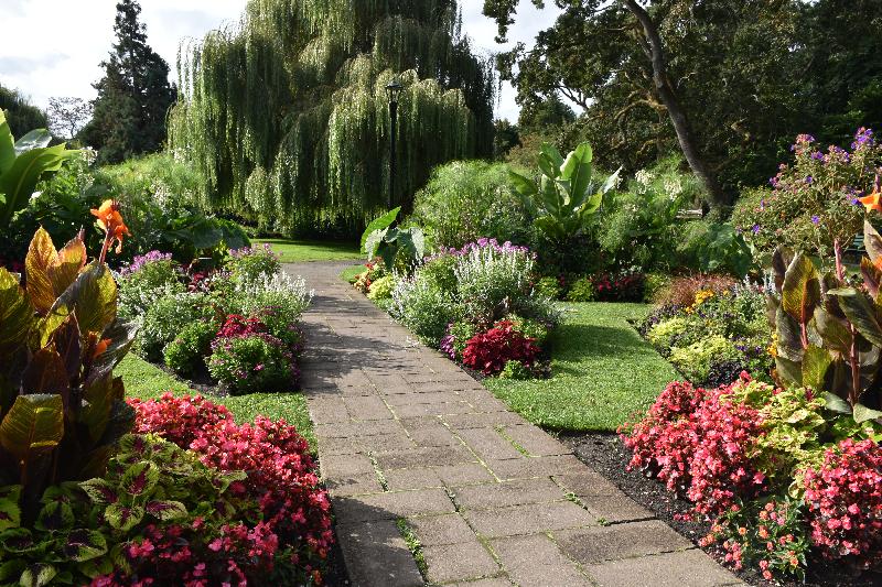 Une allée du jardin en  été