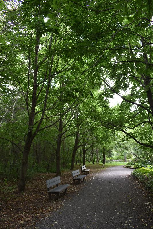 Des bancs dans un sentier du parc