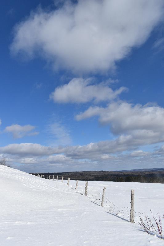 Un ciel bleu en hiver