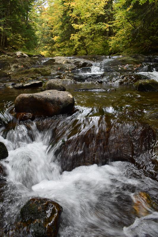 La rivière en automne