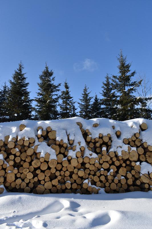 Une corde de bois en hiver