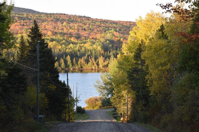 La route du lac en automne