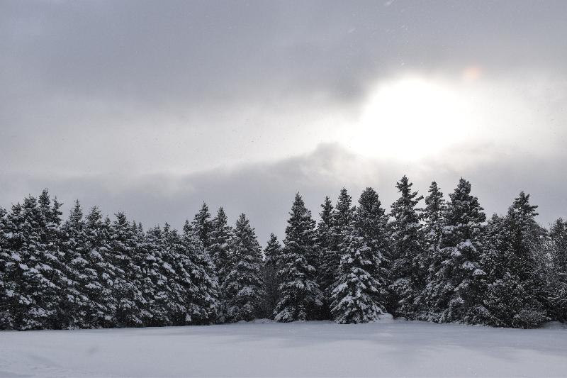 Un matin froid de février