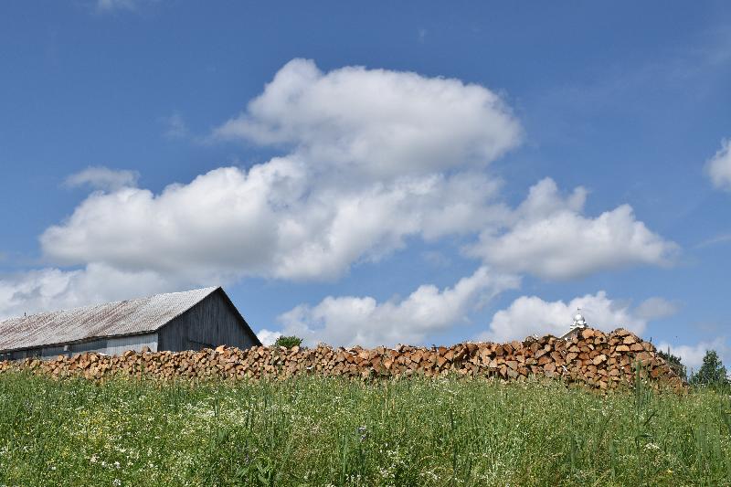 Une corde de bois dans un champ