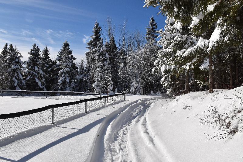 Le terrain des loisirs en hiver