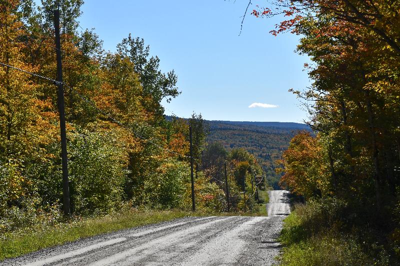 La route du lac en automne