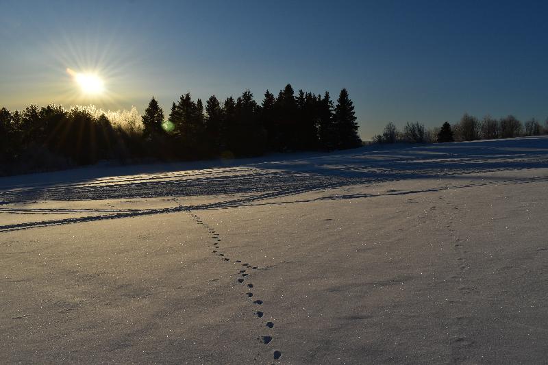 Un lever de soleil un matin froid