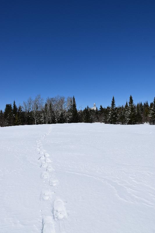 Des traces de raquettes dans un champ