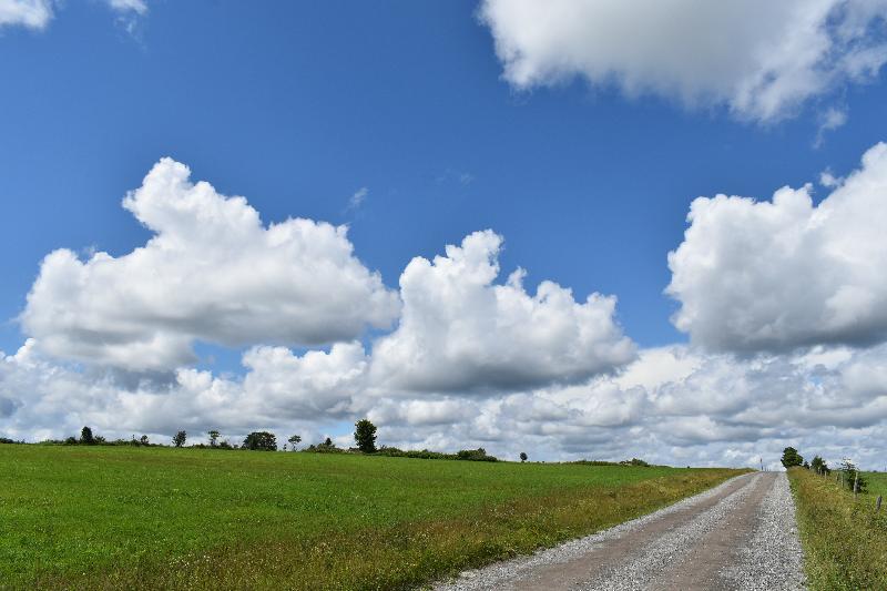 Une route de campagne en été