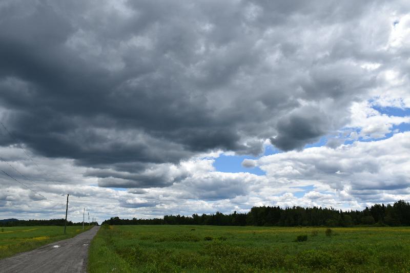 Une route déserte en été