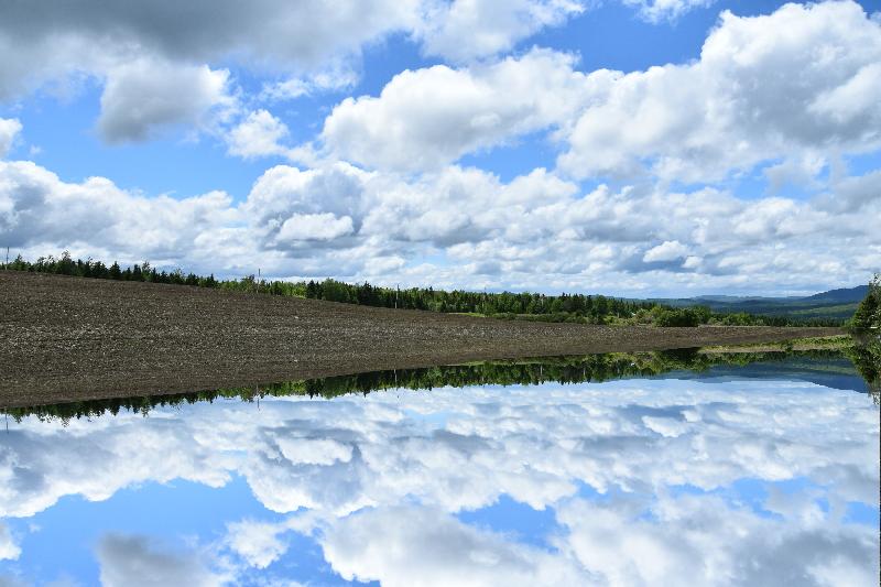 Reflet sur le lac au printemps