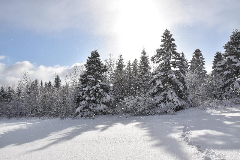 Un beau jour d'hiver