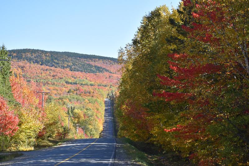 Une route de campagne en automne