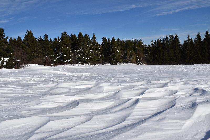 L'effet du vent sur la neige