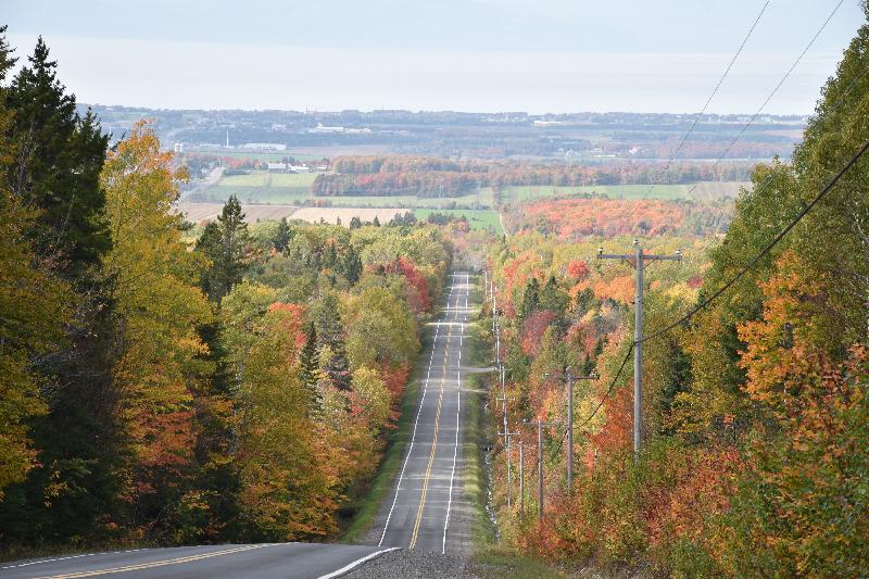 Une route de campagne en automne