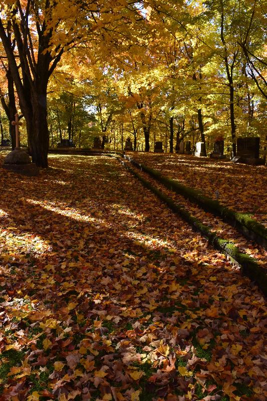 Le cimetière en automne