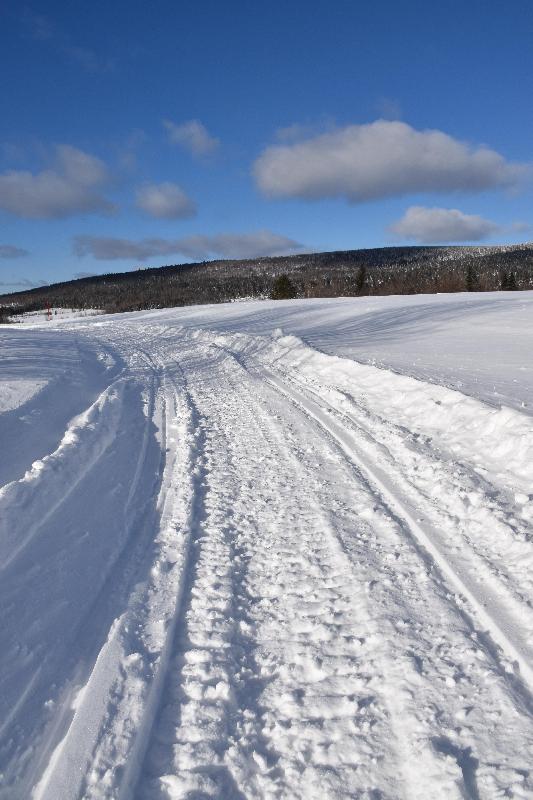 Une trace de motoneige dans un champ