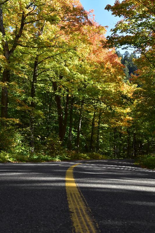 Une route déserte en automne